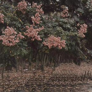 ⅹⅹⅹ日本xxx高清㐅㐅x
