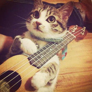 老妇❌❌激情毛片免费
