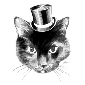 欧美操大逼短视频
