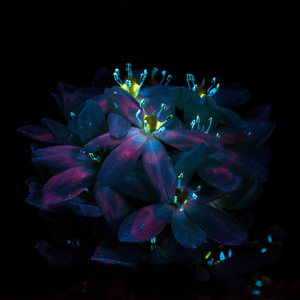 浅井舞香Av一区二区
