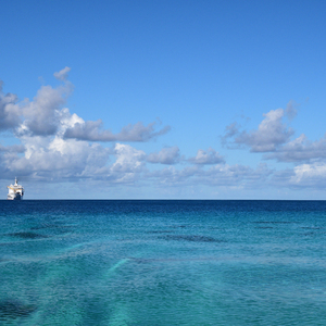 宝贝腿开大点我添添你下边A片
